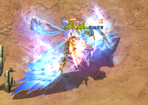 大家来点评下龙鹰吧